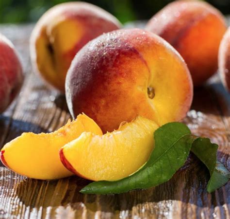 (2 left) Reliance Peach Tree (hardy, self-fertile) - final sale