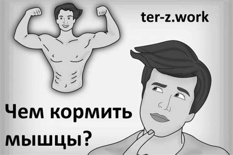 Что нужно для питания мышц?