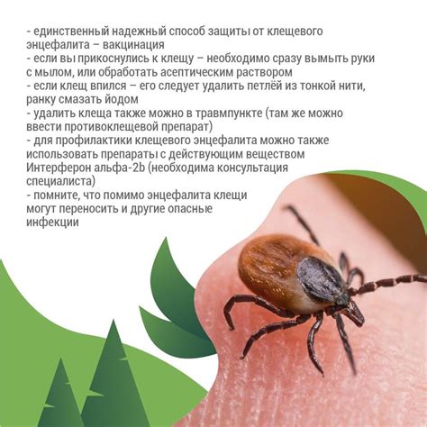 ГБУЗ НСО "ГБ №4" 2024 | ВКонтакте