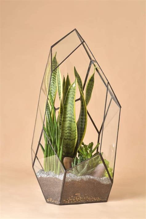 Florarium "Iceberg" | Geometric terrarium, Glass terrarium, Hanging ...