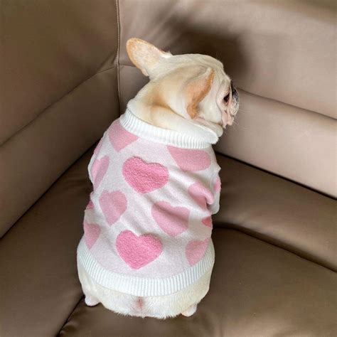 West End French Bulldog Sweater - Frenchie World