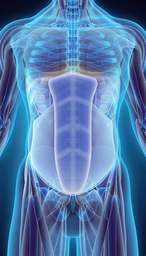 World's First Center for Abdominal Core Health Rethinks Hernia