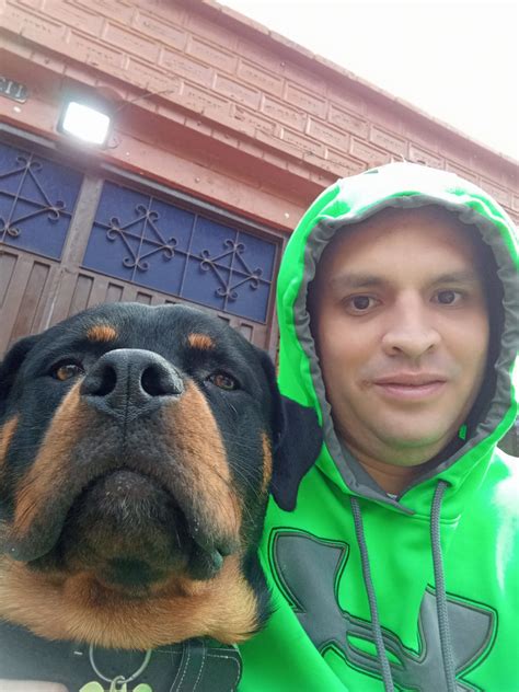 Animal Care Medicina Veterinaria Especializada - Todos en Animal Care