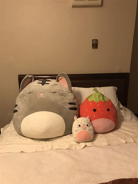 20 Inch Squishmallow Size Comparison - canvas-ily