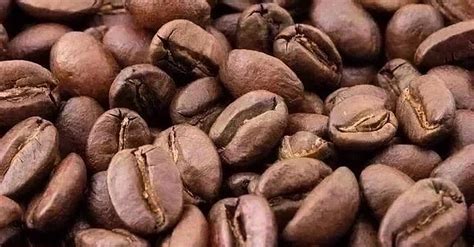 Coffee Traders Pin Hopes On Brazil For Robusta Beans As Prices Soar ...