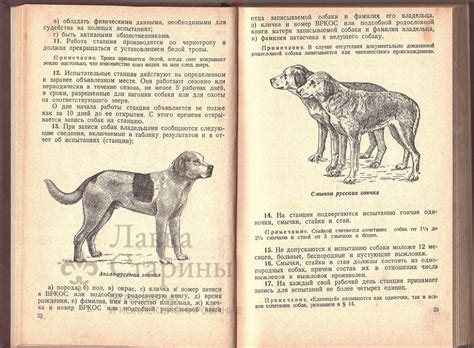 Книга "Охотничье собаководство"
