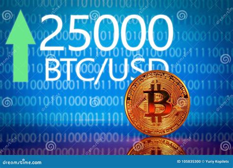 Bitcoin. Market Bitcoin Price Record - Twenty Five Thousand 25000 US ...