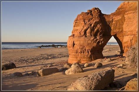 Tuja. Latvia | Latvia | Pinterest | Photos, Latvia. and Galleries