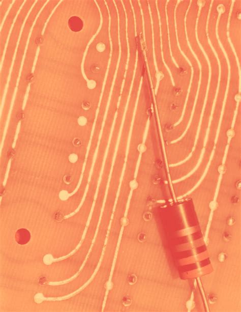 Advancing Racial Equity Through Technology Policy - AI Now Institute