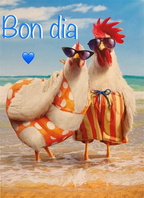 Bon dia | Funny animal pictures, Funny animals, Animal pictures