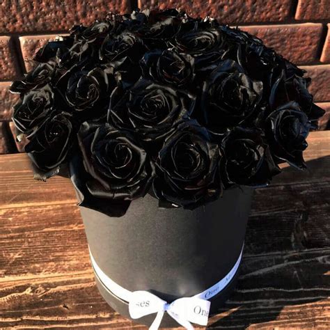 Марселин купить в Москве с доставкой недорого – id 2728 | Roses Delivery
