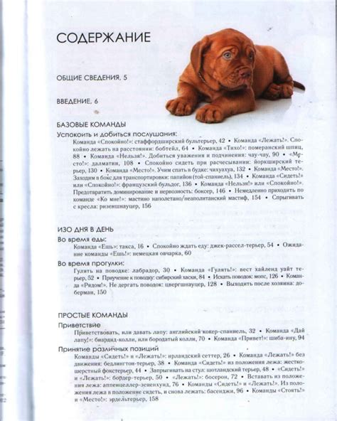 Книга: Дрессировка собак. Секреты опытного кинолога - Консуэло Компс ...