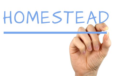 Homestead - Free of Charge Creative Commons Handwriting image