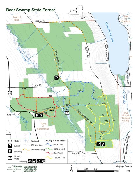 Get outdoors! Bear Swamp State Forest in Cayuga County is a ‘magical