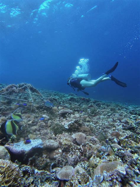Underwater+Lesbian Videos, Download The BEST Free 4k Stock Video