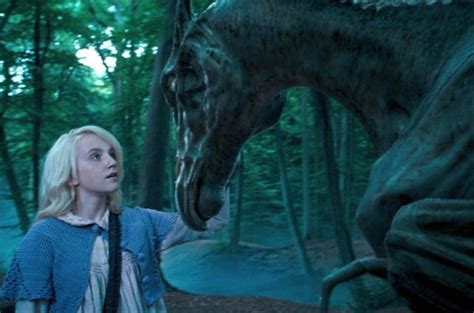 22 Awesome Behind-The-Scenes "Harry Potter" Photos You've Probably ...