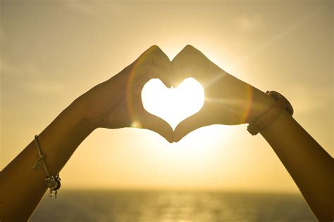 true definition  love love  relationships