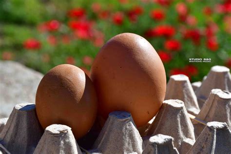 Αυγό για ρεκόρ Γκίνες στο Ναύπλιο (βίντεο)