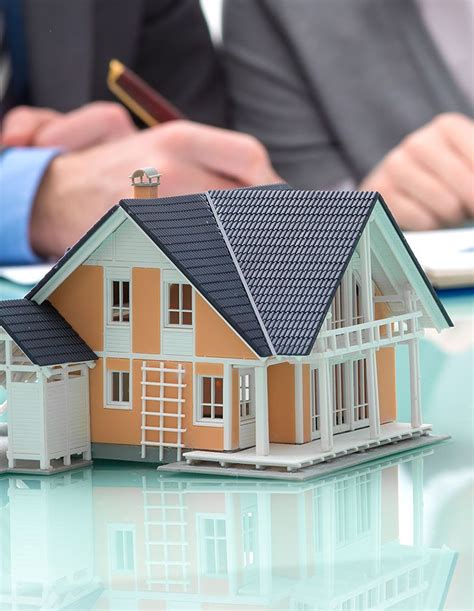 Finding Homes – Finding Homes