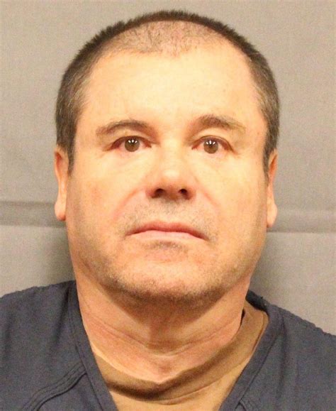El Chapo 2024: Secrets Revealed What They’re Hiding From the World - Veja Store Site
