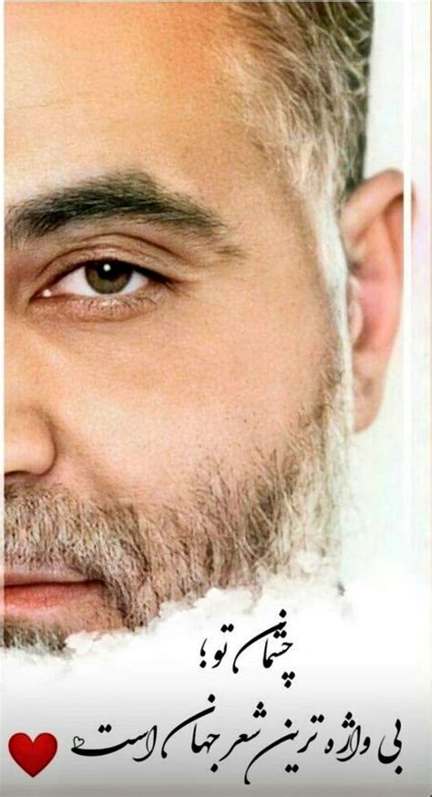 Qasem Soleimani/أمیري قاسم | Galeri, Süleyman