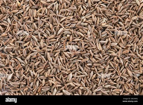 cumin seeds texture full frame background   popular spice