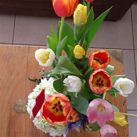 Curiosidades históricas y prehistóricas. - 1946 EL PRIMER BIKINI Los