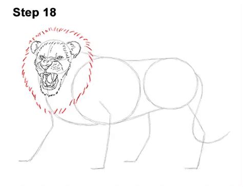 Unleash Your Inner Artist: 7 Steps To Drawing A Majestic Roaring Lion