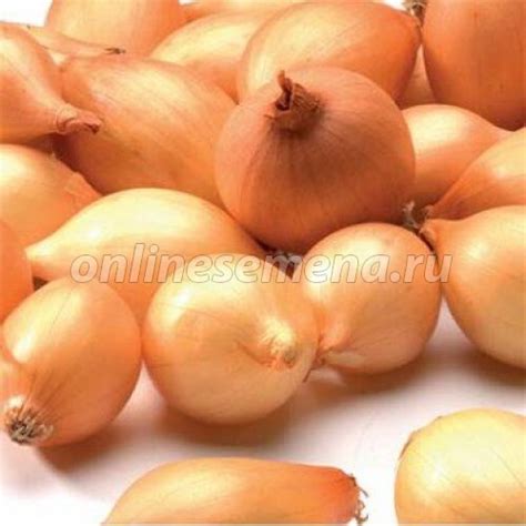 Лук-севок Альфа (уп-0,5кг) из каталога Картофель, лук, чеснок, грибы ...
