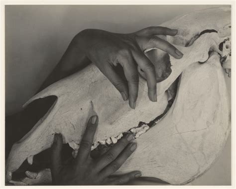 Georgia O'Keeffe--Hands and Horse Skull (Getty Museum) Alfred Stieglitz ...