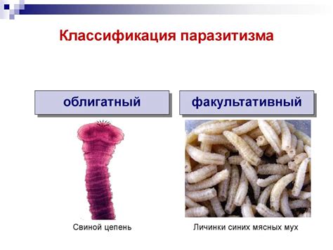Паразитология. Биоосновы паразитизма - презентация онлайн