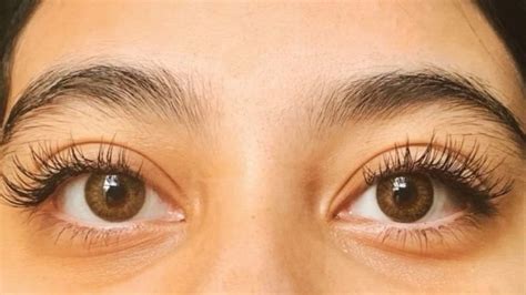 lash services blush beauty lounge