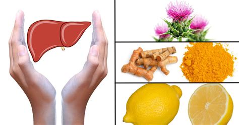 5 Easy Steps To Detox, Heal And Rejuvenate Your Liver