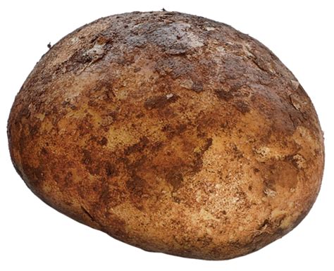 Картошка PNG фото