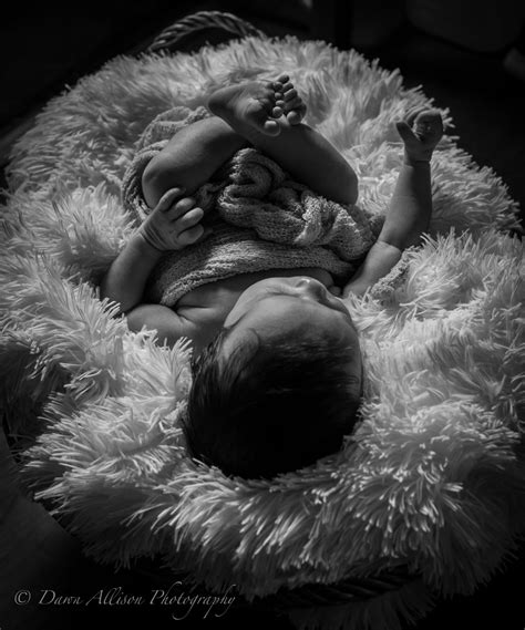 Dawn Allison Photography