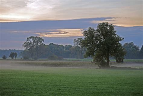 Free Images : landscape, tree, nature, grass, horizon, mountain, cloud