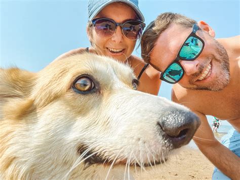 TrustedHousesitters Review: The Surprising Way To Travel The World For Free