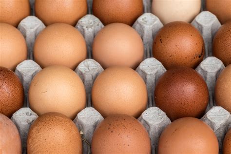 Eating Eggs and Cholesterol Linked to Heart Disease and Death Risk