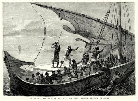 Pictures Of Atlantic Slave Trade at Donald Edwards blog