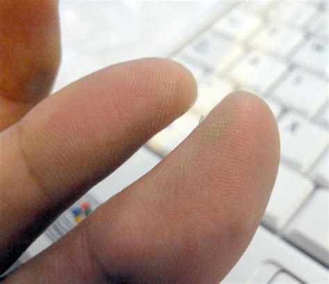 sugar scrub  steps instructables