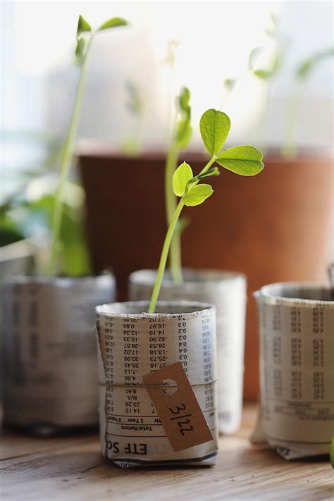 How to Make Newspaper Seedling Pots for Your Garden This Year – Herbal