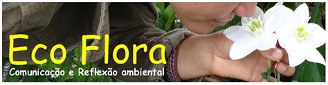 Eco Flora: AJUDE A DEFENDER O PARQUE ESTADUAL DA SERRA DO TABULEIRO