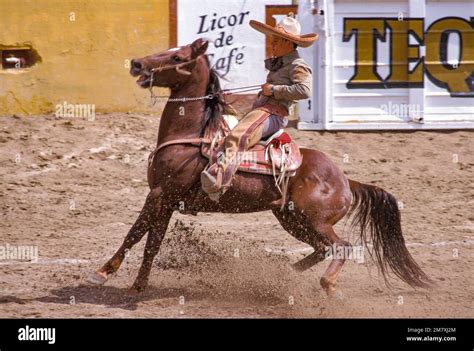 charreada mexico  res stock photography  images alamy