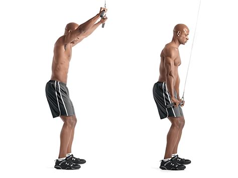 BANDED STRAIGHT ARM PULLDOWN – Digital Welcome Kit
