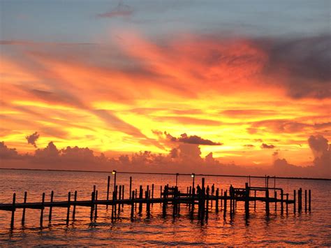 Why are there so many houses for sale in Punta Gorda Isles? (days on