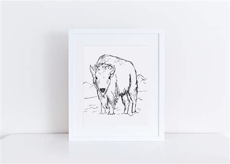 buffalo drawing easy 3