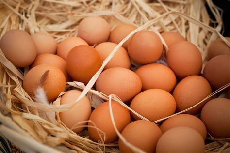 organic pastured eggs dozen   nature organics