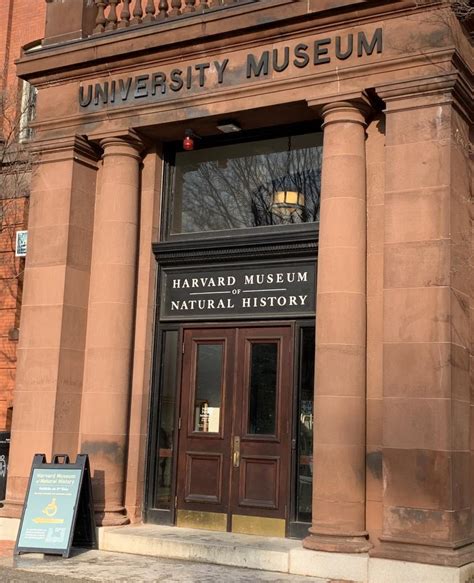 Harvard’s Gold: Wonders of the Harvard Natural History Museum | Harvard