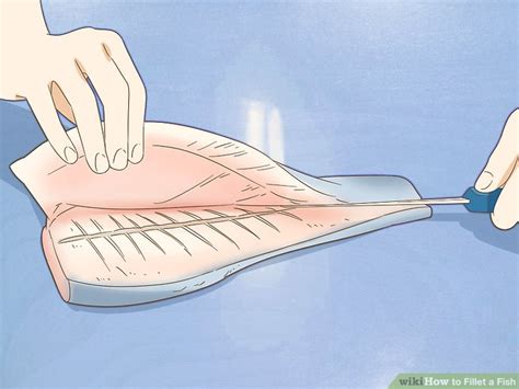 How to Fillet a Fish: 13 Steps (with Pictures) - wikiHow