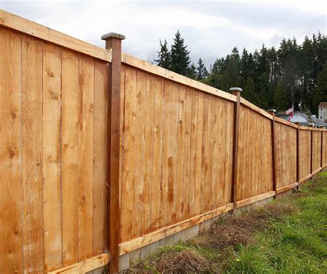 Which is Better: Vinyl or Wood Fencing? | Coop's Fencing Services